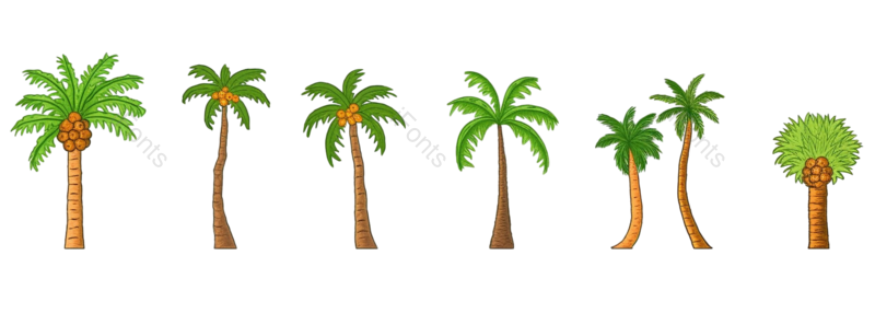 叶子图片,户外元素,树木PNG,树叶免抠素材